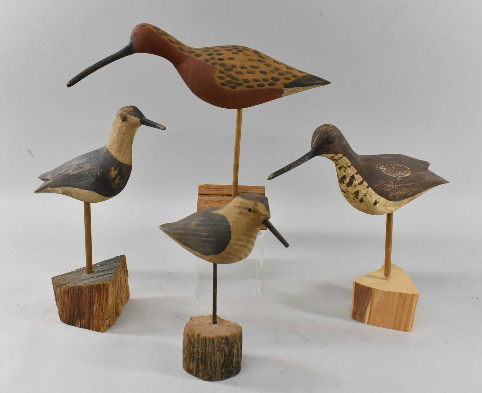 Set of 4 Shorebird decoys by Will Kirkpatrick: Set of 4 shorebird decoys by Will Kirkpatrick. 3 have tack eyes, 1 has painted eyes, all are marked WEK underneath. Tallest decoy 11 1/2" long x 8 1/2" tall x 2 1/2" wide, Medium decoys 8 1/2" long x
