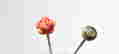 item-78915353=11