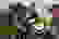 item-88968449=5