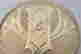 item-118139554=3