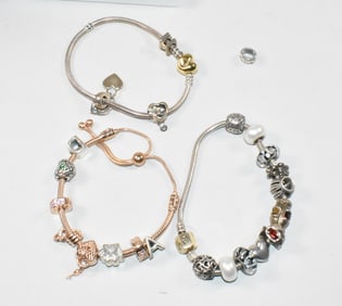 Pandora and Pandora Style Charm Bracelets