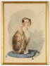 Marquis James Grandet de la Villette -? "Newly-wed wife as a kitten", watercolor, ca. 1835