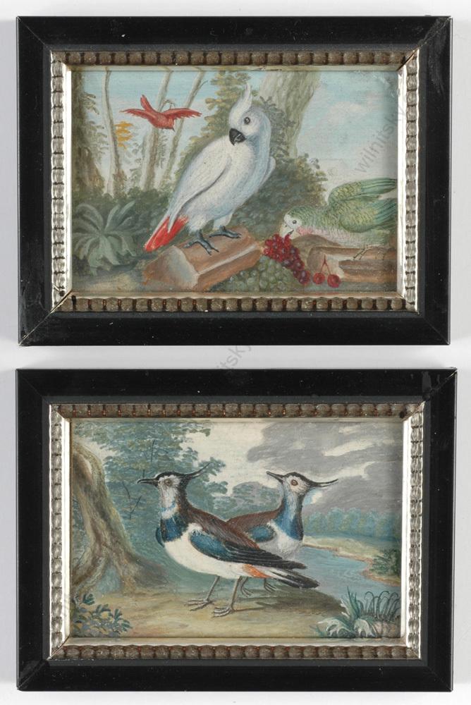 Angelo Maria Crivelli (d. 1730)-Follower, two fine miniatures with birds, 18th century: Angelo Maria Crivelli (d. 1730)-Follower, two fine miniatures with birds, 18th century These two fine 18th century miniature paintings are painted with gouache on paper, laid on card. Their stylistic