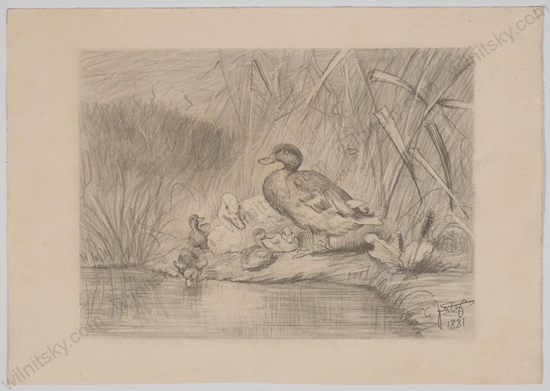 Carl Jutz the Elder (1838-1918), "Duck Family", 1881, Drawing (1 of 4)