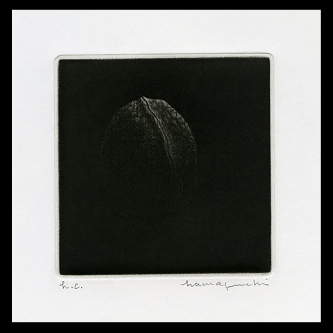 Yozo Hamaguchi - Japanese Print: Artist: Hamaguchi, Yozo, 1909-2000 Title: Walnut Edition: HC Date: 1982 Medium: mezzotint Dimensions: 3 3/8 x 3 3/8 inches Illustrated: Hamaguchi, pl. 16