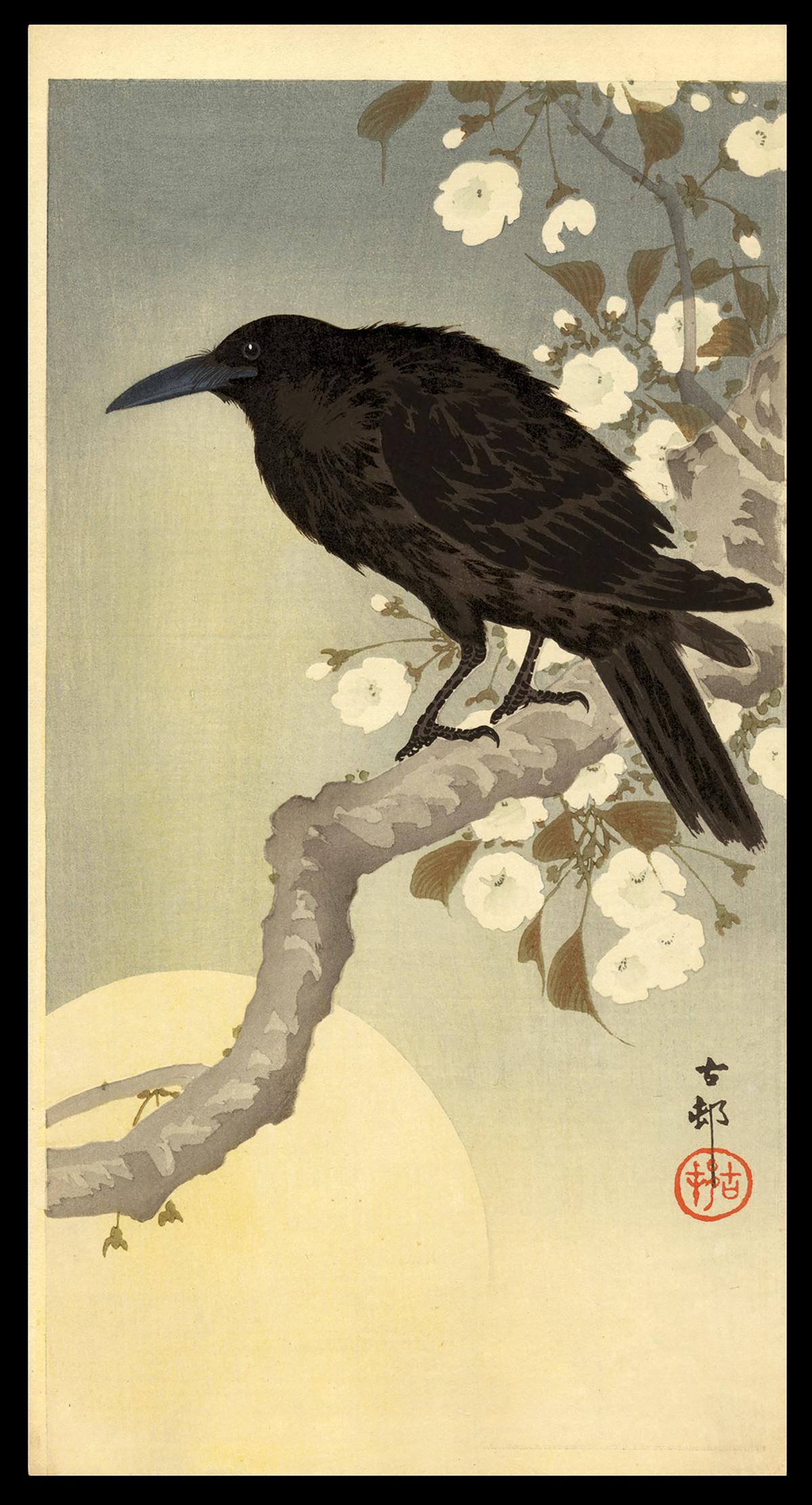 Ohara Koson - Japanese Woodblock Print: Artist: Koson, Ohara, 1877-1945 Title: Crow on a Cherry Branch Date: c. 1911 Medium: woodblock Dimensions: 13 1/2 x 17 1/4 inches Illustrated: CCC, K5.3 Note