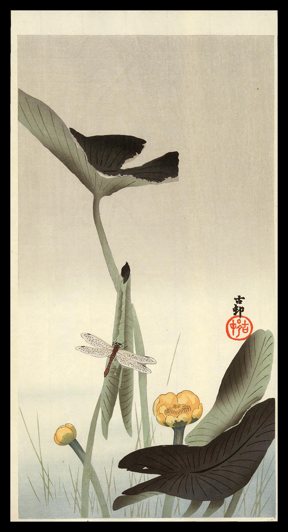 Ohara Koson - Japanese Woodblock Print: Artist: Koson, Ohara, 1877-1945 Title: Dragonfly and Lotus Date: c. 1910 Medium: woodblock Dimensions: 13 5/8 x 7 1/4 inches Illustrated: CCC, pl. K40.6