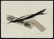 Toko Shinoda Japanese Print - For Thee L
