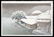 Kawase Hasui Woodblock - Ishinomaki in Snow