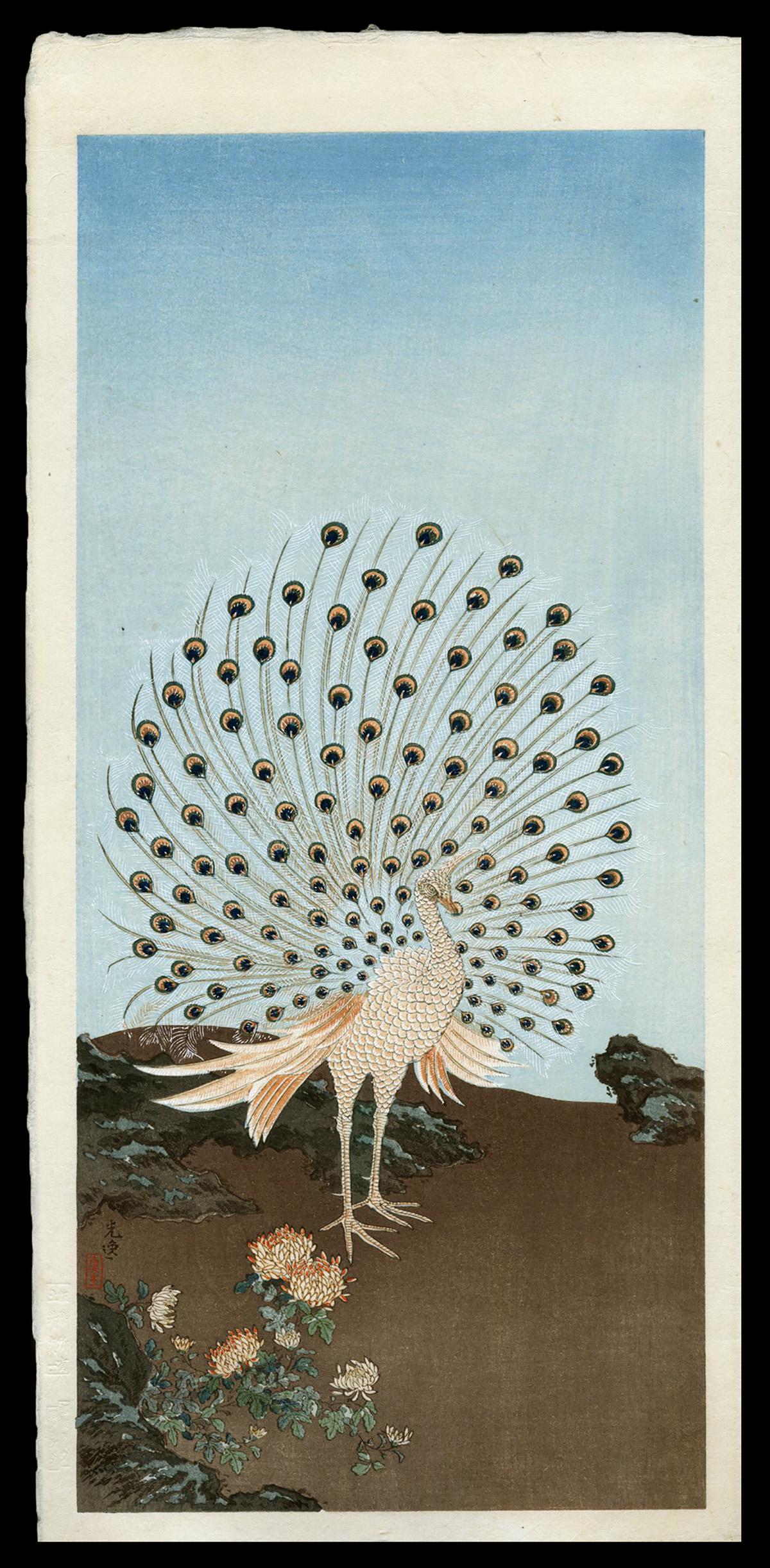 Tsuchiya Koitsu Woodblock - Peacock: Artist: Koitsu, Tsuchiya, 1870-1949 Title: Peacock Date: 1930 Medium: woodblock Dimensions: 14 1/4 x 6 1/2 inches Illustrated: Koitsu, fig 3.72 Notes: Pu