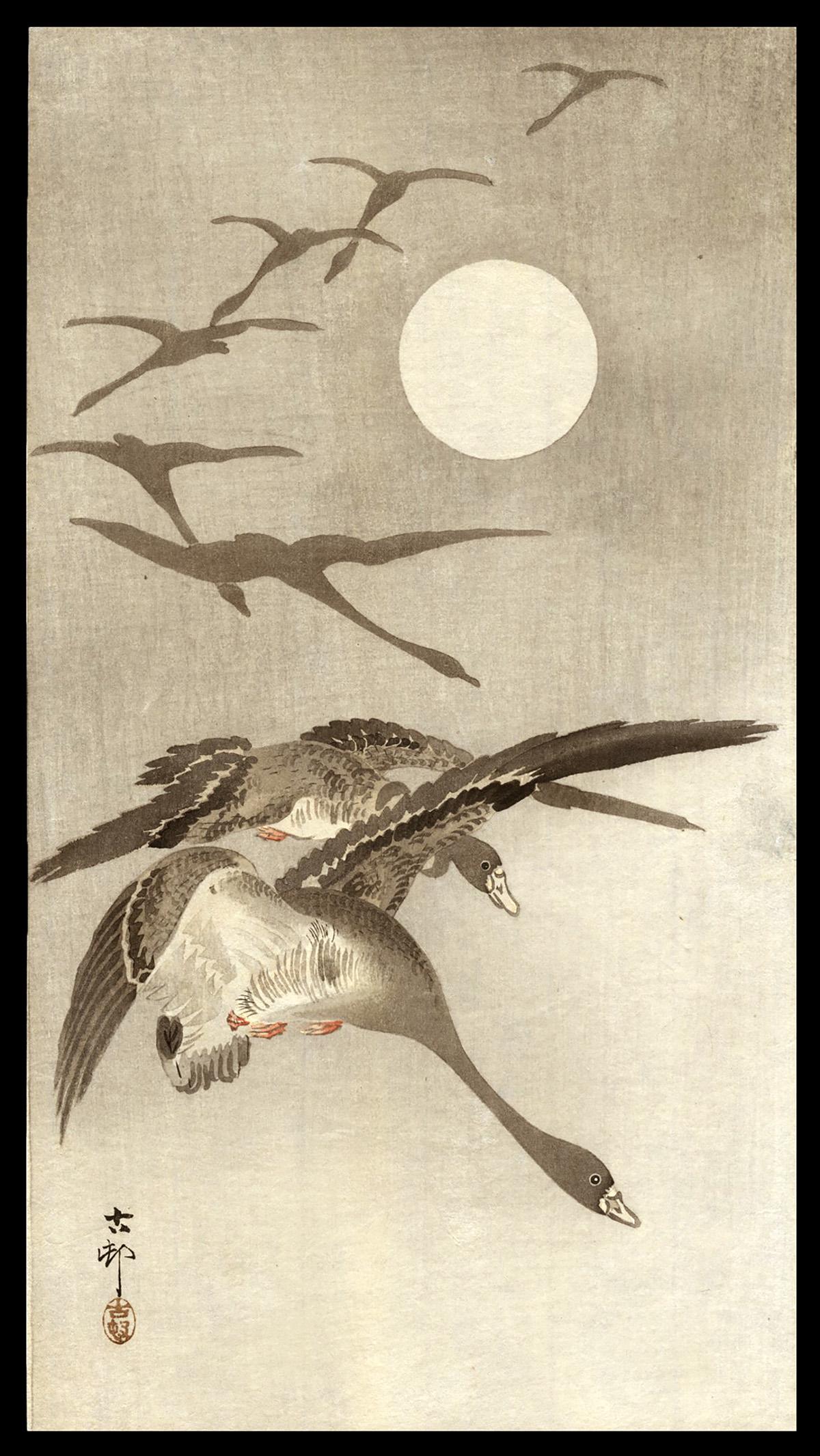 Ohara Koson Woodblock - Geese in Flight: Artist: Koson, Ohara, 1877-1945 Title: Eight White-Fronted Geese in Flight, a Full Moon Behind Date: c. 1910 Medium: woodblock Dimensions: 13 1/4 x 7 1/4 inches Illustrated
