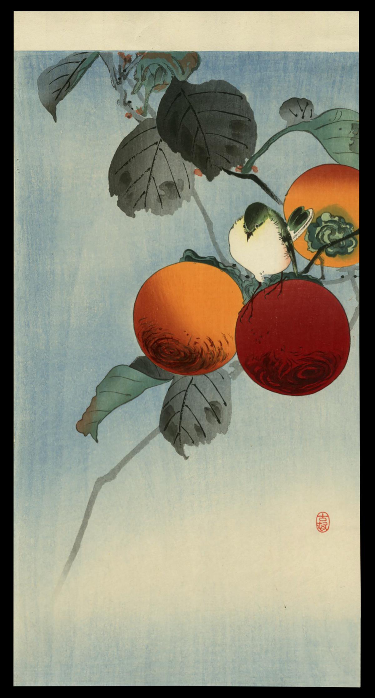 Ohara Koson Woodblock - Nuthatcher atop Persimmon: Artist: Koson, Ohara, 1877-1945 Title: Nuthatcher atop Persimmon Date: c. 1910 Medium: woodblock Dimensions: 13 1/2 x 7 1/4 inches Illustrated: CCC, pl. K.18.1