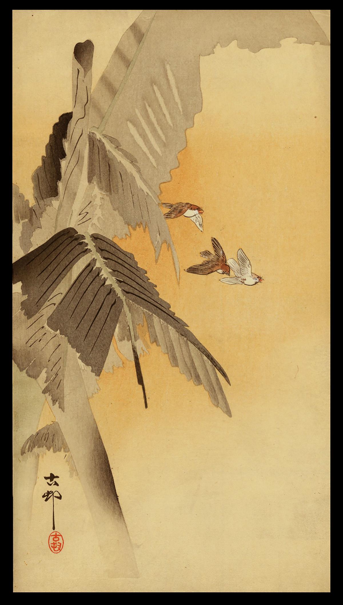 Koson Woodblock - Three Sparrows in Flight: Artist: Koson, Ohara, 1877-1945 Title: Three Tree Sparrows in Flight next to Large Banana Leaves Date: c. 1910 Medium: woodblock Dimensions: 13 1/4 x 7 3/8 inches Illustrat