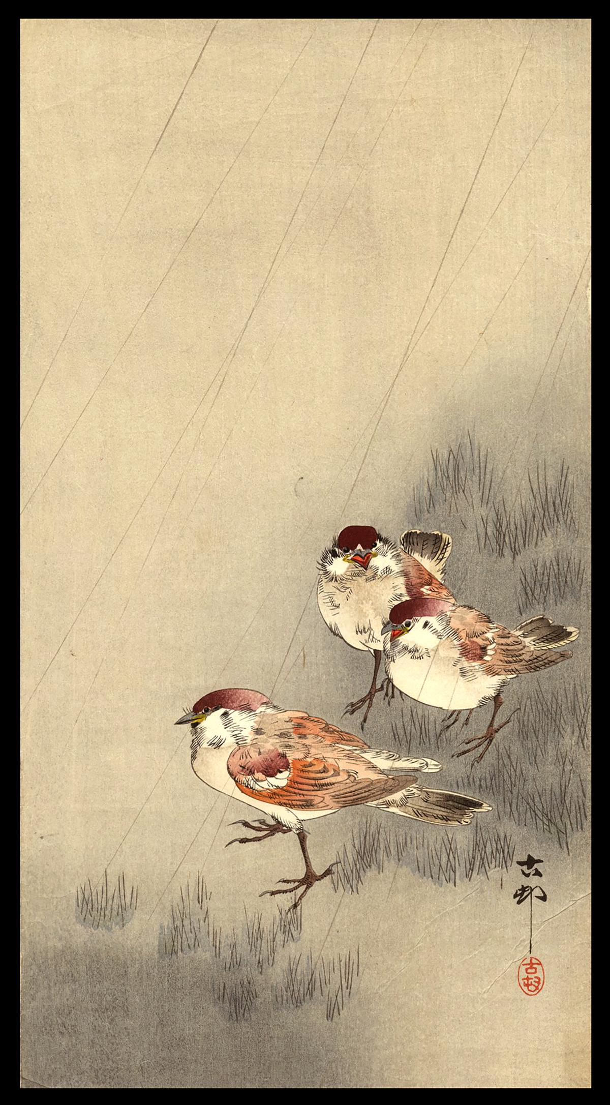 Koson Woodblock - Three Sparrows in Rain: Artist: Koson, Ohara, 1877-1945 Title: Three Tree Sparrows in a Rain Shower Date: c. 1910 Medium: woodblock Dimensions: 13 5/8 x 7 1/4 inches Illustrated: CCC, pl. K33.