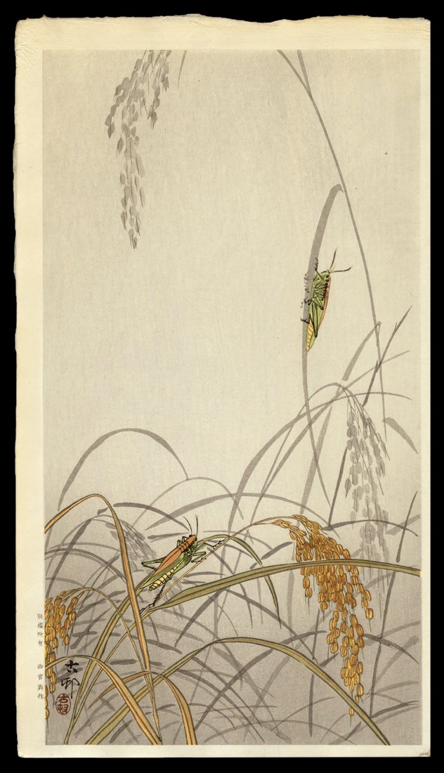 Ohara Koson Woodblock - Grashopper on Rice Plants: Artist: Koson, Ohara, 1877-1945 Title: Grasshoppers on Rice Plants Date: c. 1910 Medium: woodblock Dimensions: 13 1/2 x 7 1/2 inches Illustrated: CCC, pl. K40.7