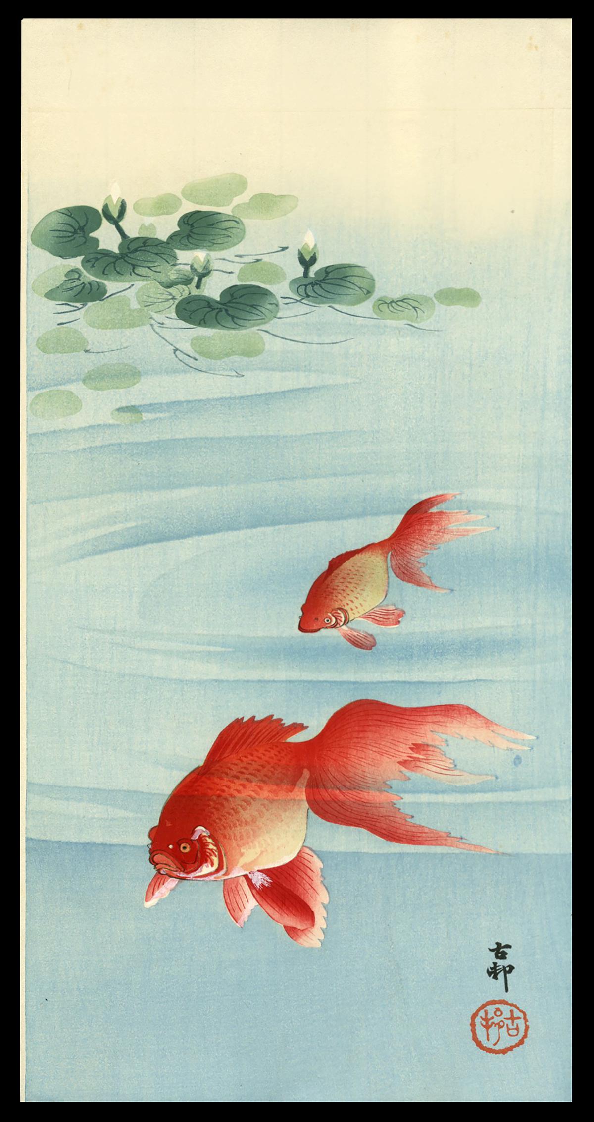 Ohara Koson Woodblock - Goldfish: Artist: Koson, Ohara, 1877-1945 Title: Goldfish Date: c. 1910 Medium: woodblock Dimensions: 14 7/8 x 7 3/8 inches Notes: Not illustrated in CCC