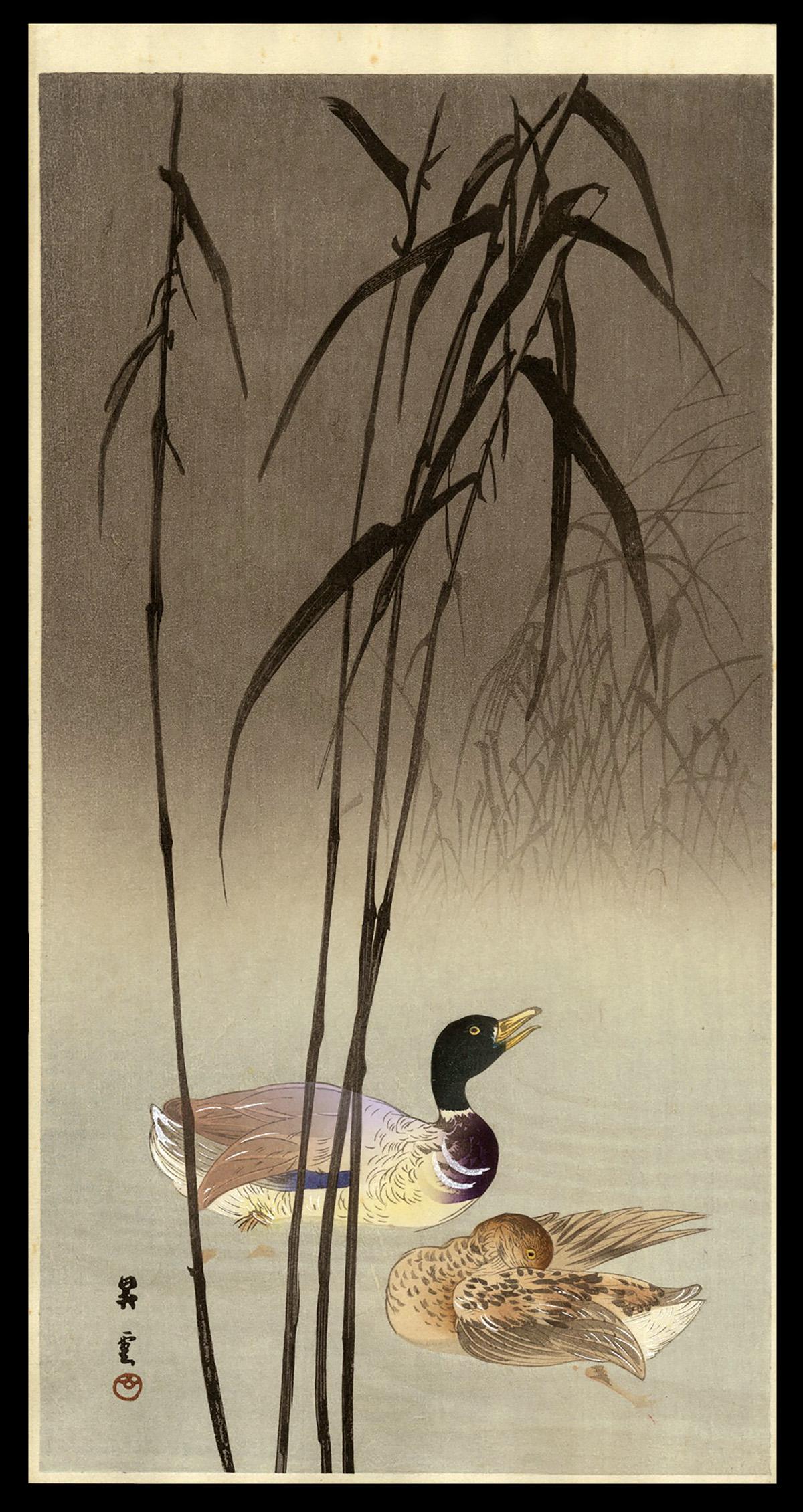 Yamamoto Shoun Woodblock - Mallards and Marsh Grasses: Artist: Shoun, Yamamoto, 1870-1965 Title: Mallards and Marsh Grasses Date: c. 1910 Medium: woodblock Dimensions: 13 3/4 x 7 1/4 inches
