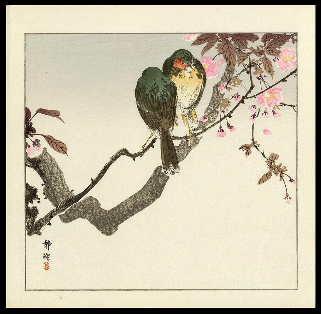 Seiko Woodblock - Two Birds on a Cherry Branch: Artist: Seiko Title: Two Birds on a Cherry Branch Date: c. 1900 Medium: woodblock Dimensions: 9 1/8 x 9 3/4 inches