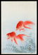 Ohara Shoson Woodblock - Two Goldfish