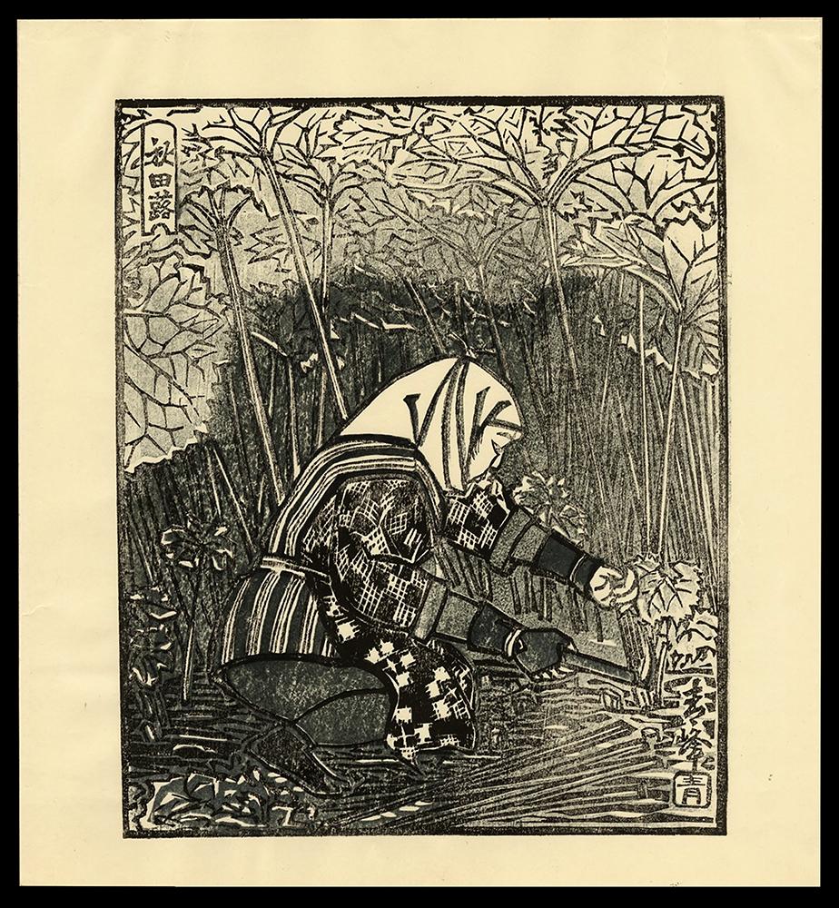 Kaoru Kawano Woodblock - Butterbur (Akita Fuki): Artist: Kawano, Kaoru, 1916-1965 Title: Butterbur (Akita Fuki) Date: c. 1960 Medium: woodblock Dimensions: 9 5/8 x 7 inches Notes: Tipped on to presentation board with