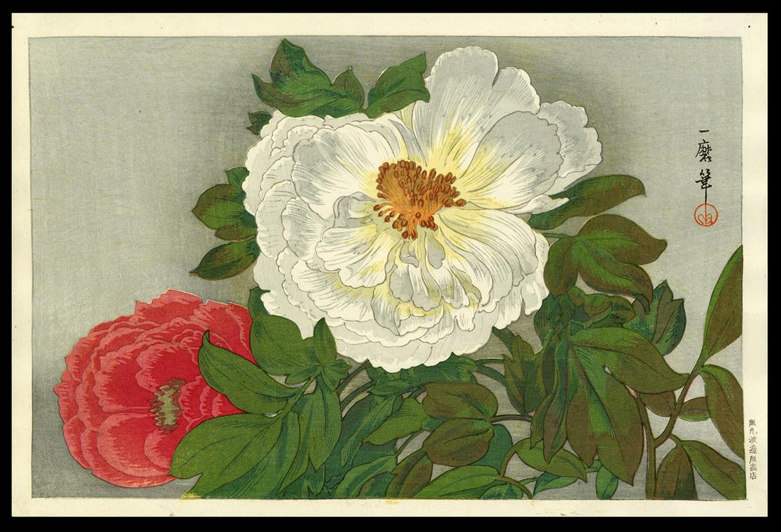 Oda Kazuma Woodblock - Peonies: Artist: Kazuma, Oda, 1882-1956 Title: Peonies Date: 1924 Medium: woodblock Image Size: 9 1/4 x 14 1/4 inches Provenance: Robert O. Muller Estate Notes: P