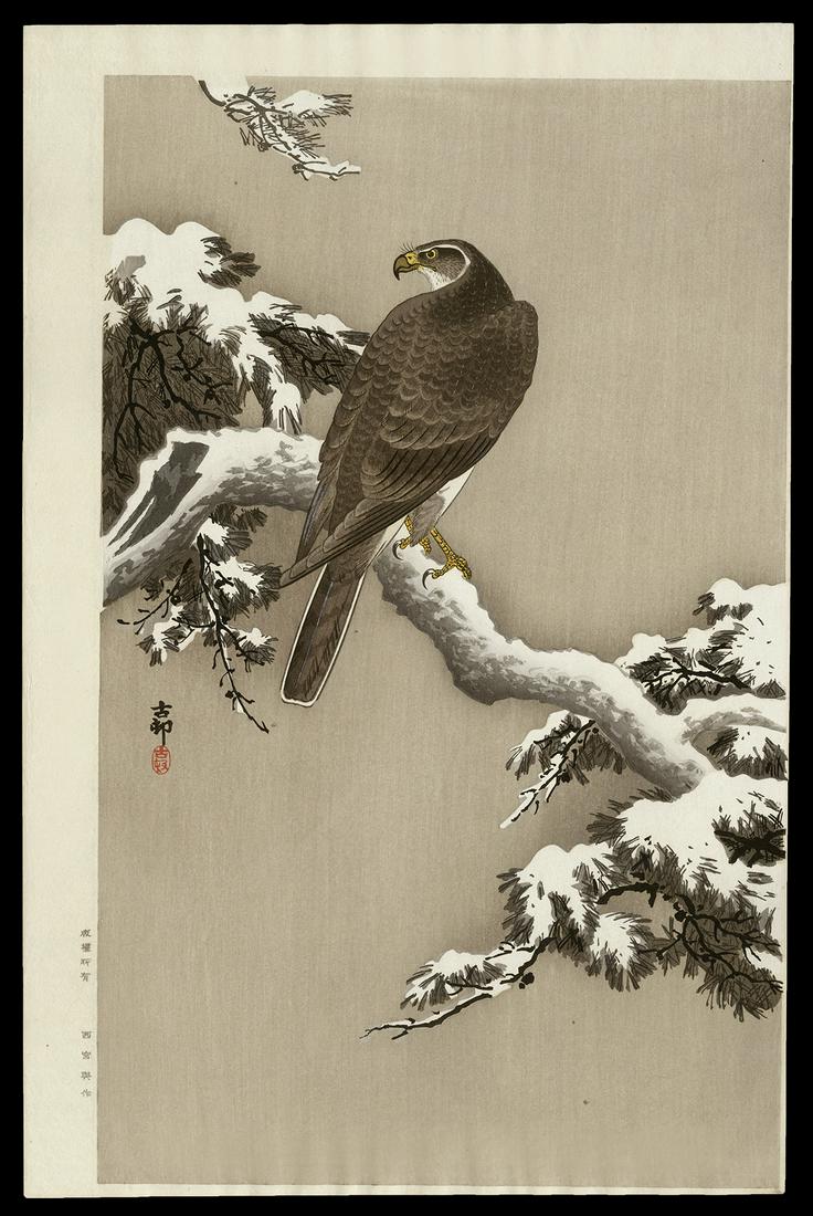 Ohara Koson Woodblock - Goshawk on a Pine Branch: Artist: Koson, Ohara, 1877-1945 Title: Goshawk on a Snow Covered Pine Branch Date: c. 1910 Medium: woodblock Image Size: 16 1/2 x 10 1/4 inches Illustrated: CCC, pl. K1