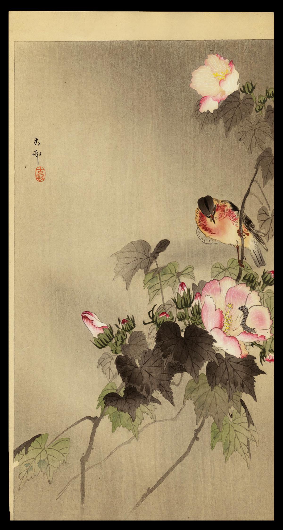 Koson Woodblock - Stonechat on a Flowering Branch: Artist: Koson, Ohara, 1877-1945 Title: Stonechat on a Thin Stalk of a Flowering Branch Date: c. 1910 Medium: woodblock Image Size: 13 5/8 x 7 3/8 inches Illustrated: CC