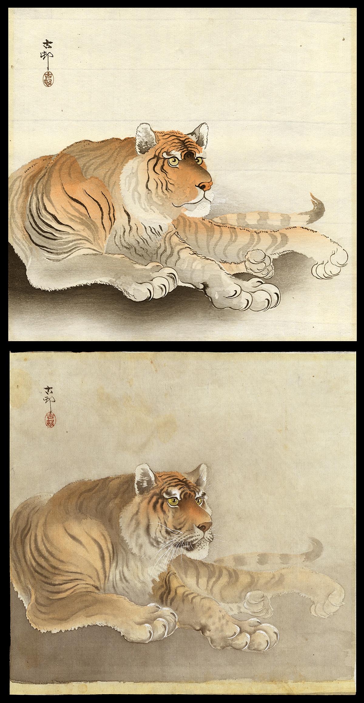 Koson Painting and Woodblock - Reclining Tiger Set: Artist: Koson, Ohara, 1877-1945 Title: Reclining Tiger Set Date: c. 1910 Medium: painting on silk, woodblock Image Size: 9 1/2 x 9 3/4 inches Illustrated: CCC, pl. K41.