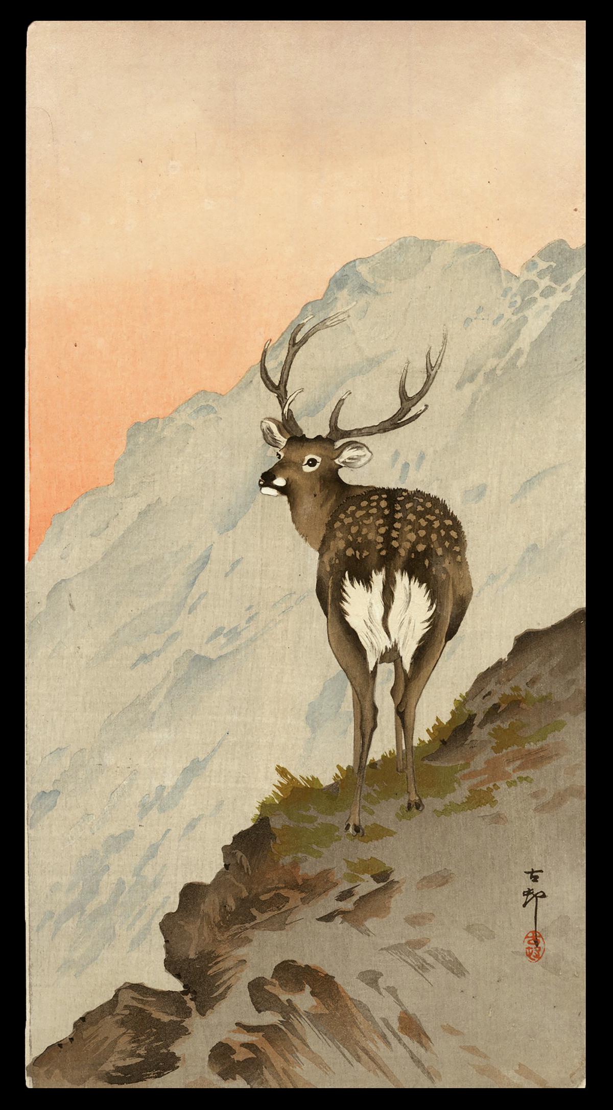Ohara Koson Woodblock - Deer: Artist: Koson, Ohara, 1877-1945 Title: Deer Date: c. 1910 Medium: woodblock Image Size: 14 1/8 x 7 1/4 inches Illustrated: CCC, pl. K41.9
