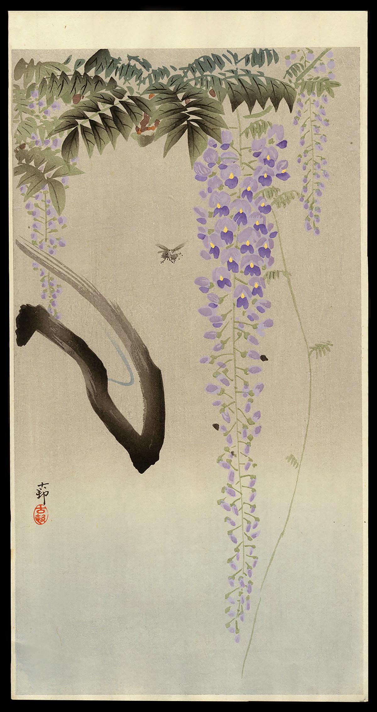 Ohara Koson Woodblock - Insect and Wisteria: Artist: Koson, Ohara, 1877-1945 Title: Insect Next to Flowering Wisteria Date: c. 1910 Medium: woodblock Image Size: 13 3/8 x 7 1/4 inches Illustrated: CCC pl. K43.6