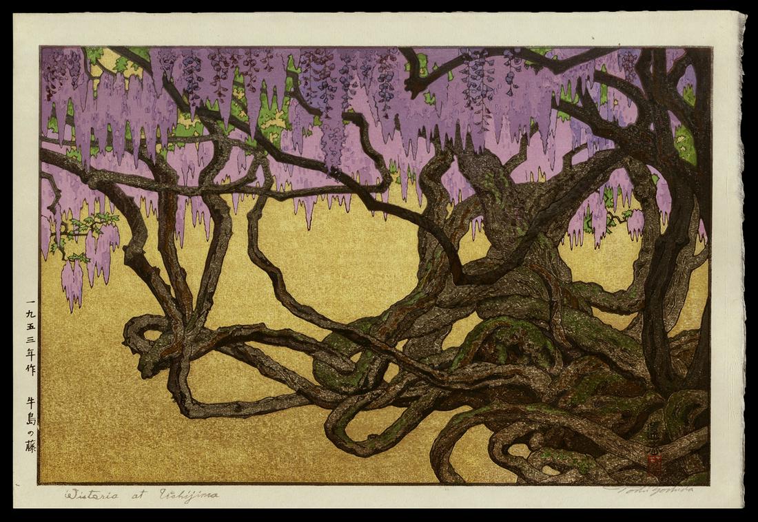 Toshi Yoshida Woodblock - Wisteria at Ushiyama: Artist: Yoshida, Toshi, 1911-1995 Title: Wisteria at Ushiyama Date: 1951 Medium: woodblock Image Size: 9 1/2 x 14 5/8 inches Notes: Pencil signature