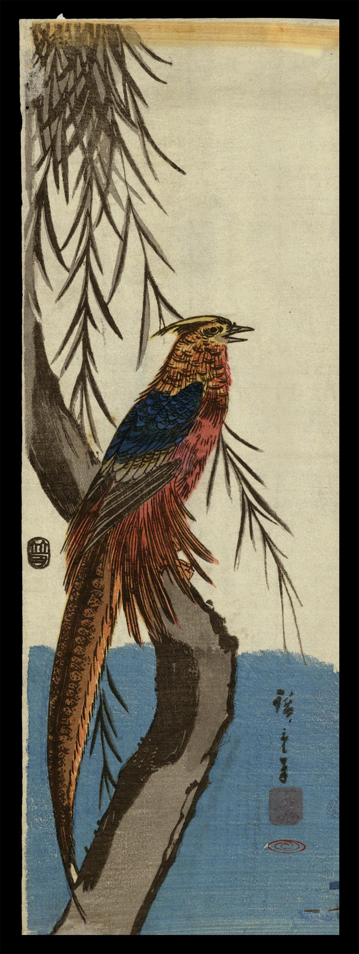 Ando Hiroshige Woodblock - Golden Pheasant on Willow: Artist: Hiroshige, Ando, 1797-1858 Title: Golden Pheasant in Willow Tree Date: c. 1845-46 Medium: woodblock Dimensions: 12 7/8 x 4 3/8 inches Notes: Collector's seal be