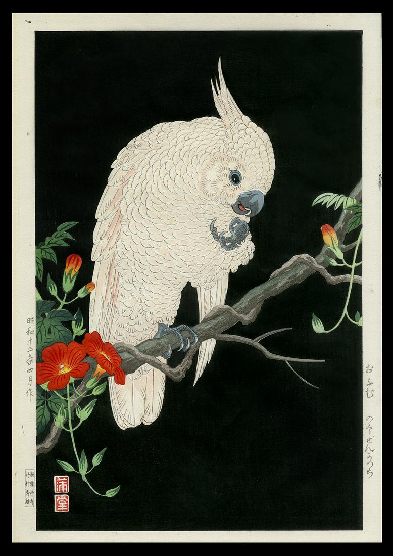 Nishimura Hodo Woodblock - Cockatoo: Artist: Hodo, Nishimura, fl. 1930s Title: Cockatoo Date: 1938 Medium: woodblock Dimensions: 14 3/8 x 9 1/2 inches