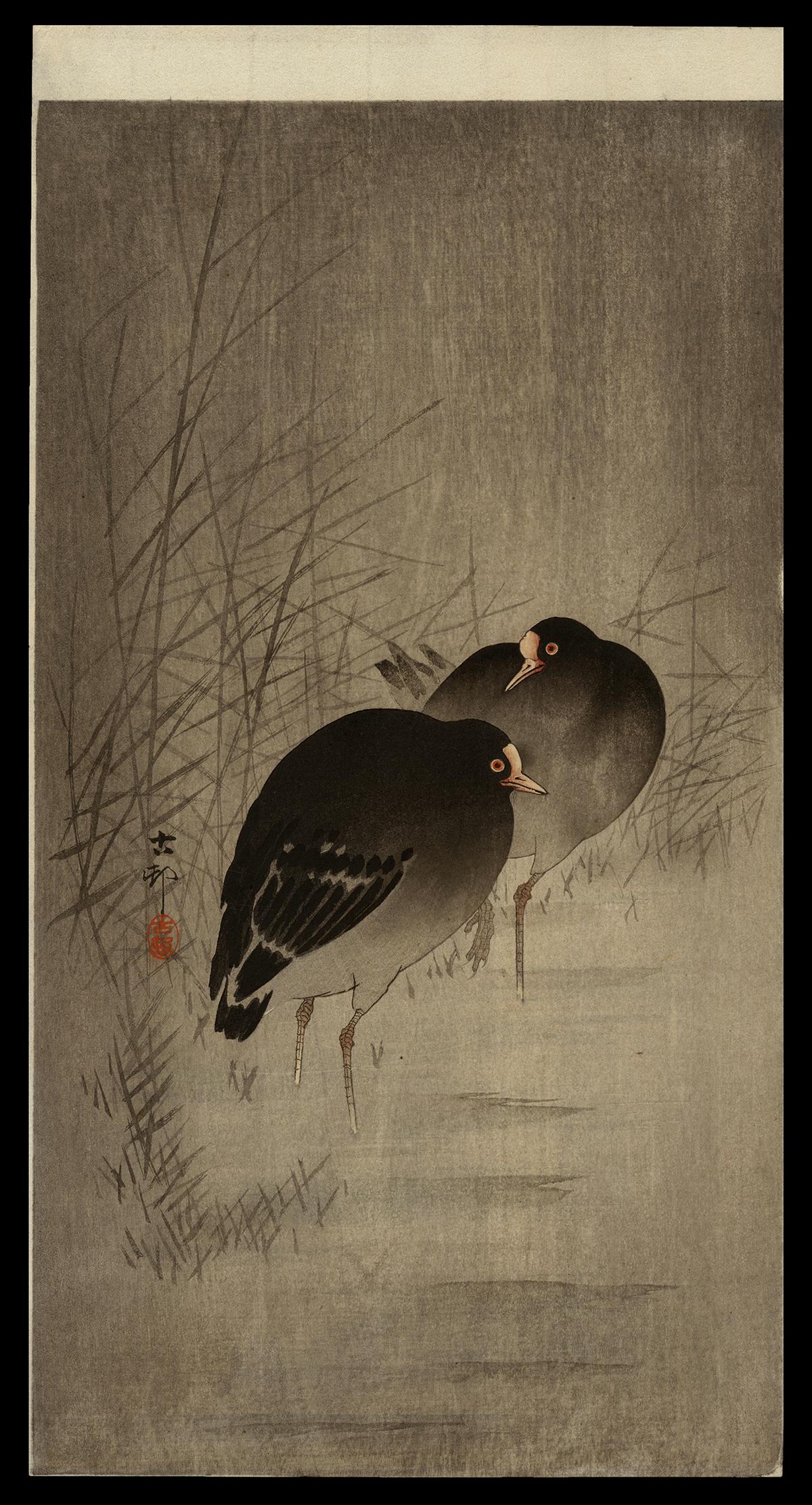 Koson Woodblock - Two Gallinules in Shallow Water: Artist: Koson, Ohara, 1877-1945 Title: Two Gallinules in Shallow Water Between Reeds Date: c. 1910 Medium: woodblock Dimensions: 13 1/2 x 7 3/8 inches Illustrated: CCC,