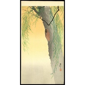 Ohara Koson Woodblock: Title: Beetle on the Trunk of a Willow Tree Artist: Koson, Ohara, 1877-1945 Date: