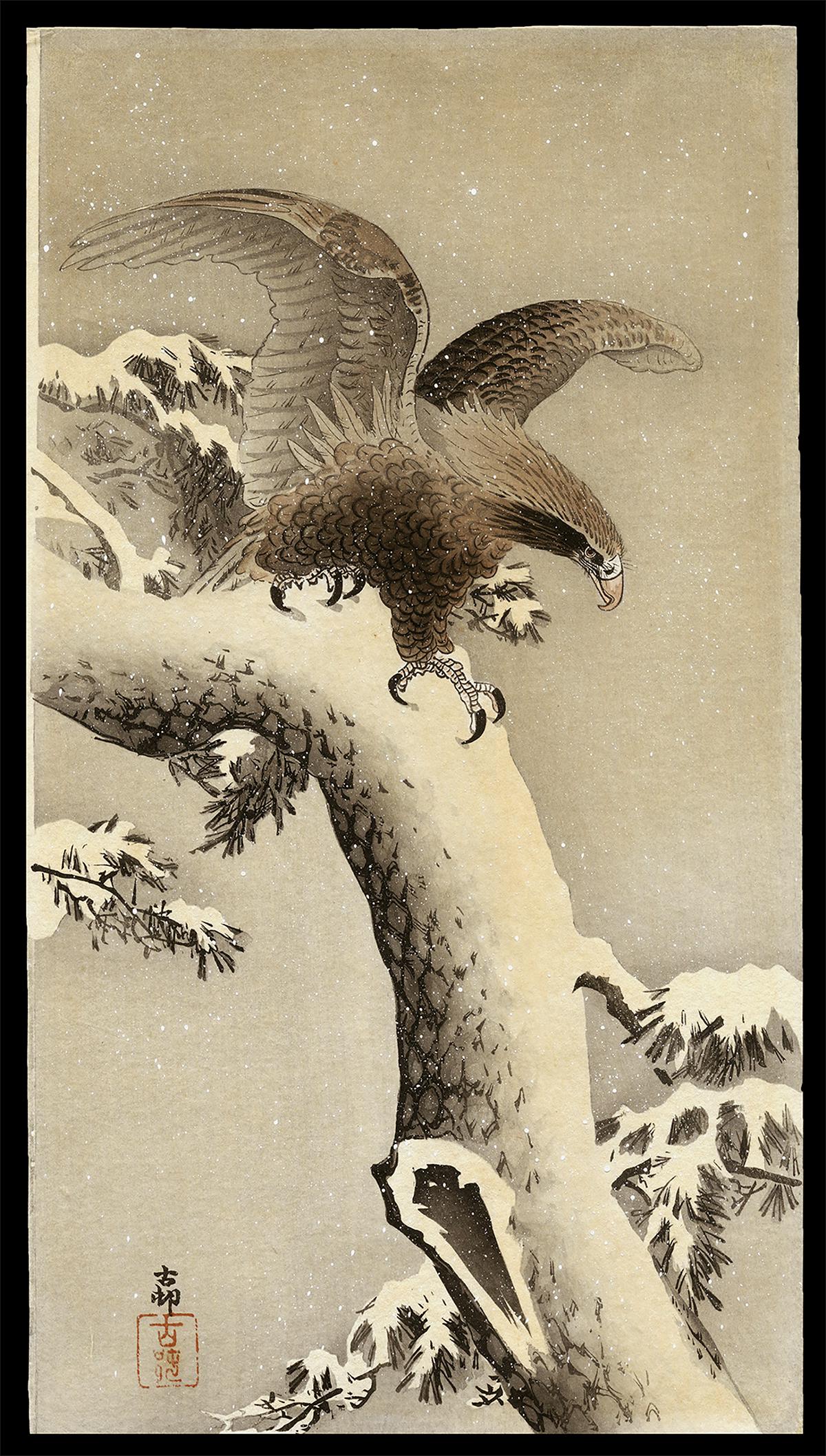 Ohara Koson Woodblock - Eagle on Snowy Tree Bough (1 of 2)