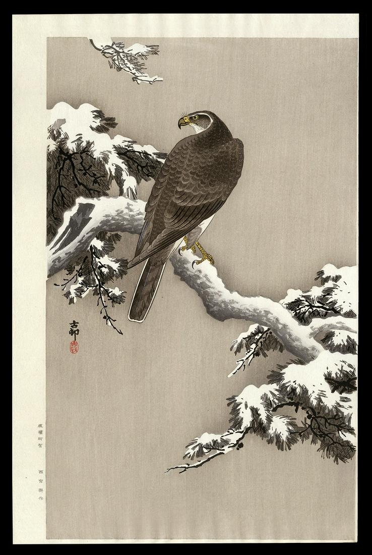 Ohara Koson Woodblock - Goshawk on a Snowy Pine Branch (1 of 2)