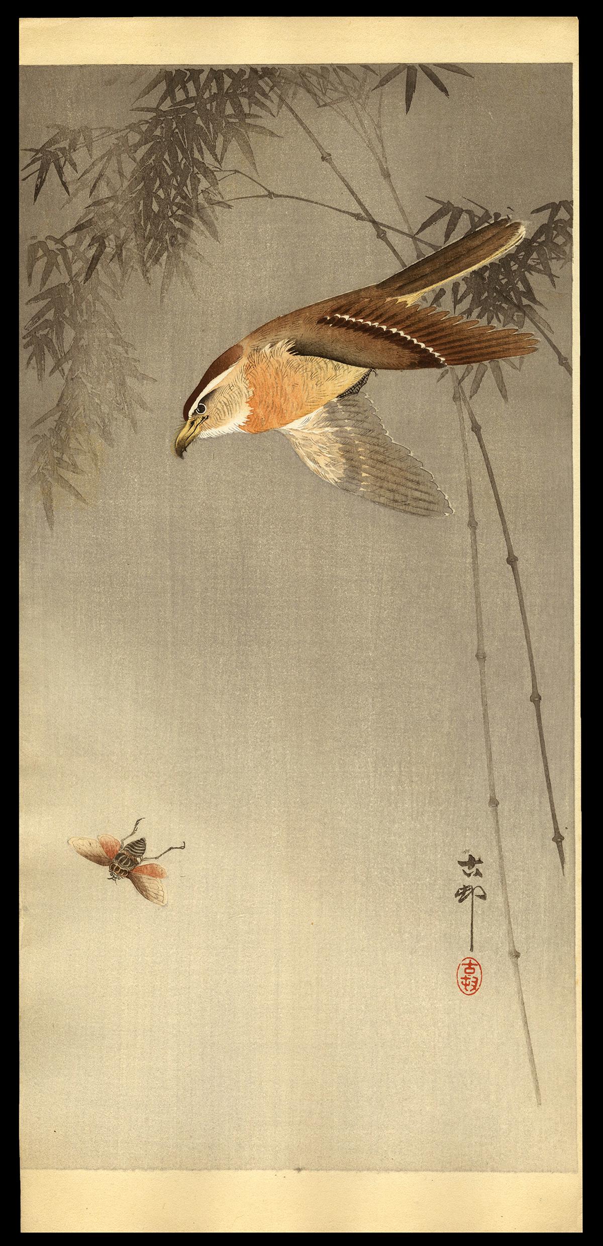 Ohara Koson Woodblock - Hawk Chasing an Insect (1 of 2)