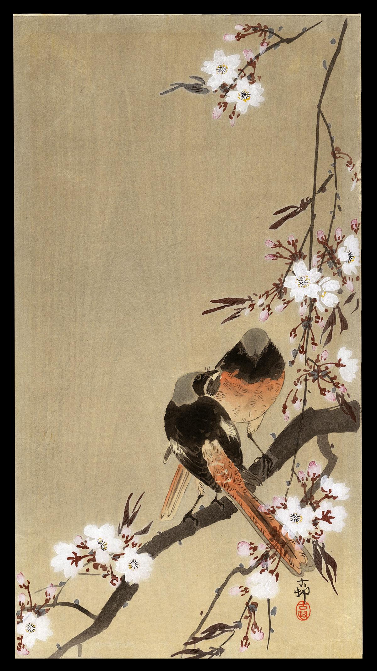 Ohara Koson Woodblock - Redstarts on Cherry Branch (1 of 2)