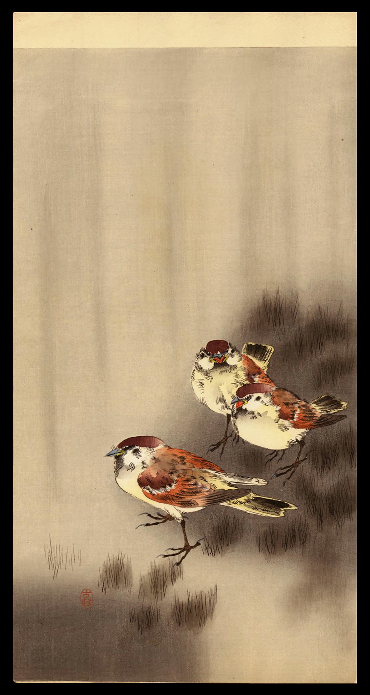 Ohara Koson Woodblock - Three Sparrows in Rain (1 of 2)