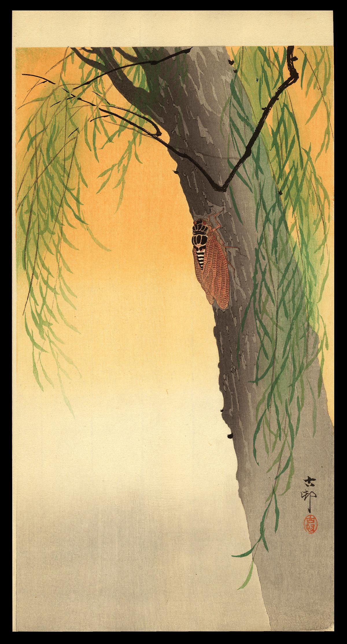 Ohara Koson Woodblock - Beetle on  Willow Tree (1 of 2)