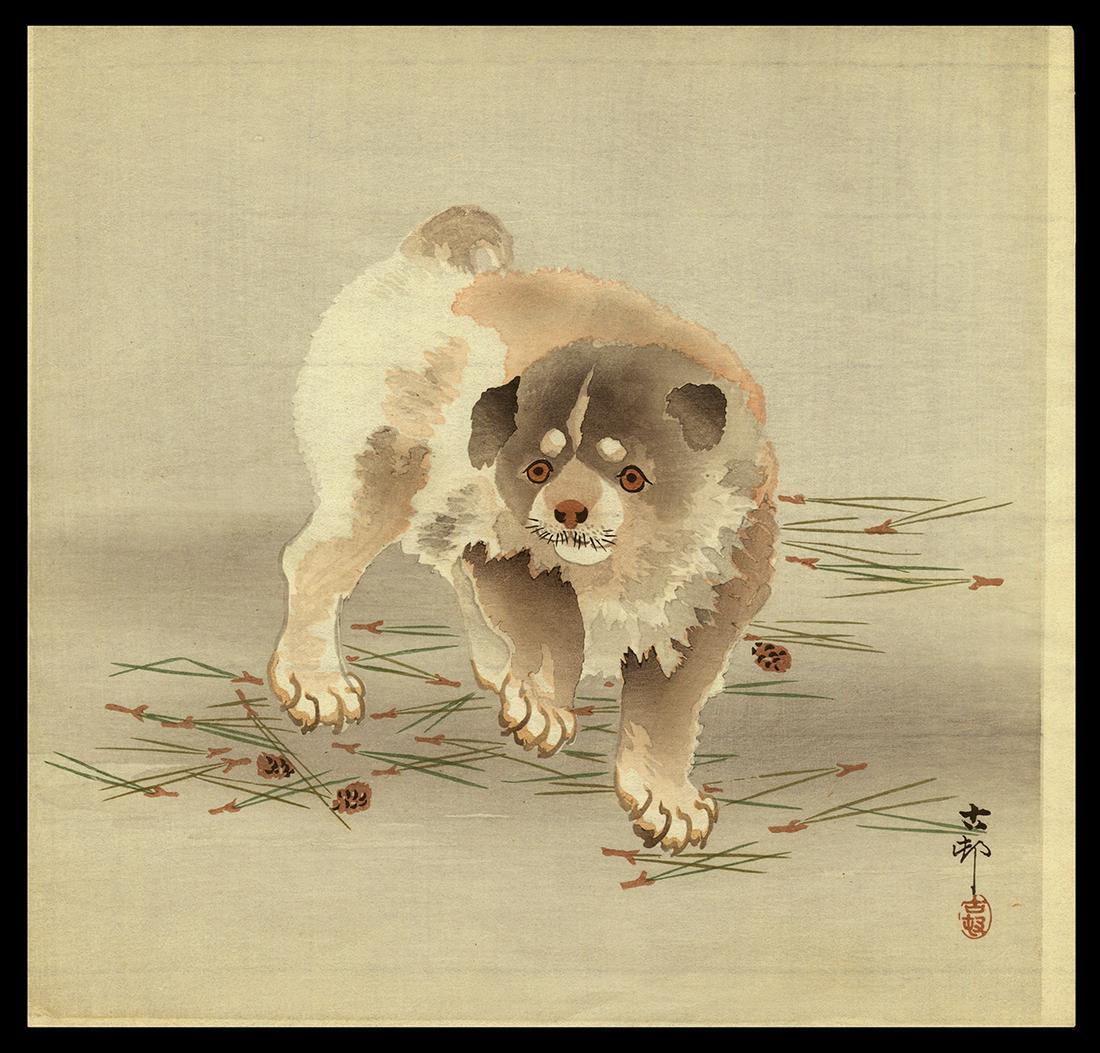 Ohara Koson Woodblock - Puppy on  Pine Needles (1 of 2)