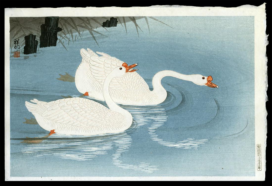 Ohara Shoson Woodblock - Two Geese Swimming near Shore (1 of 2)