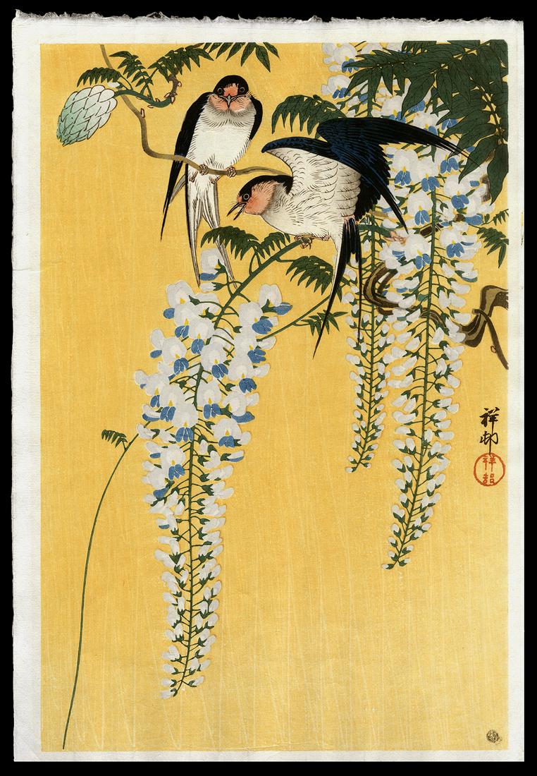 Ohara Shoson Woodblock - Barn Swallows on  Wisteria (1 of 2)