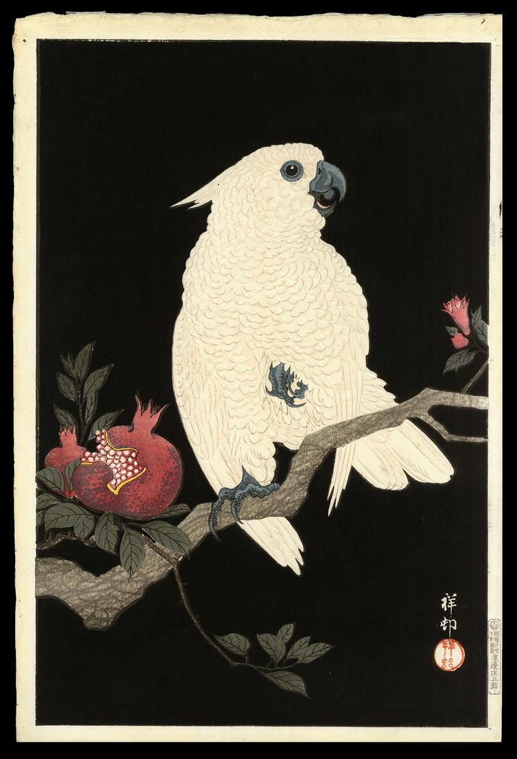 Ohara Shoson Woodblock - Cockatoo and Pomegranate (1 of 2)