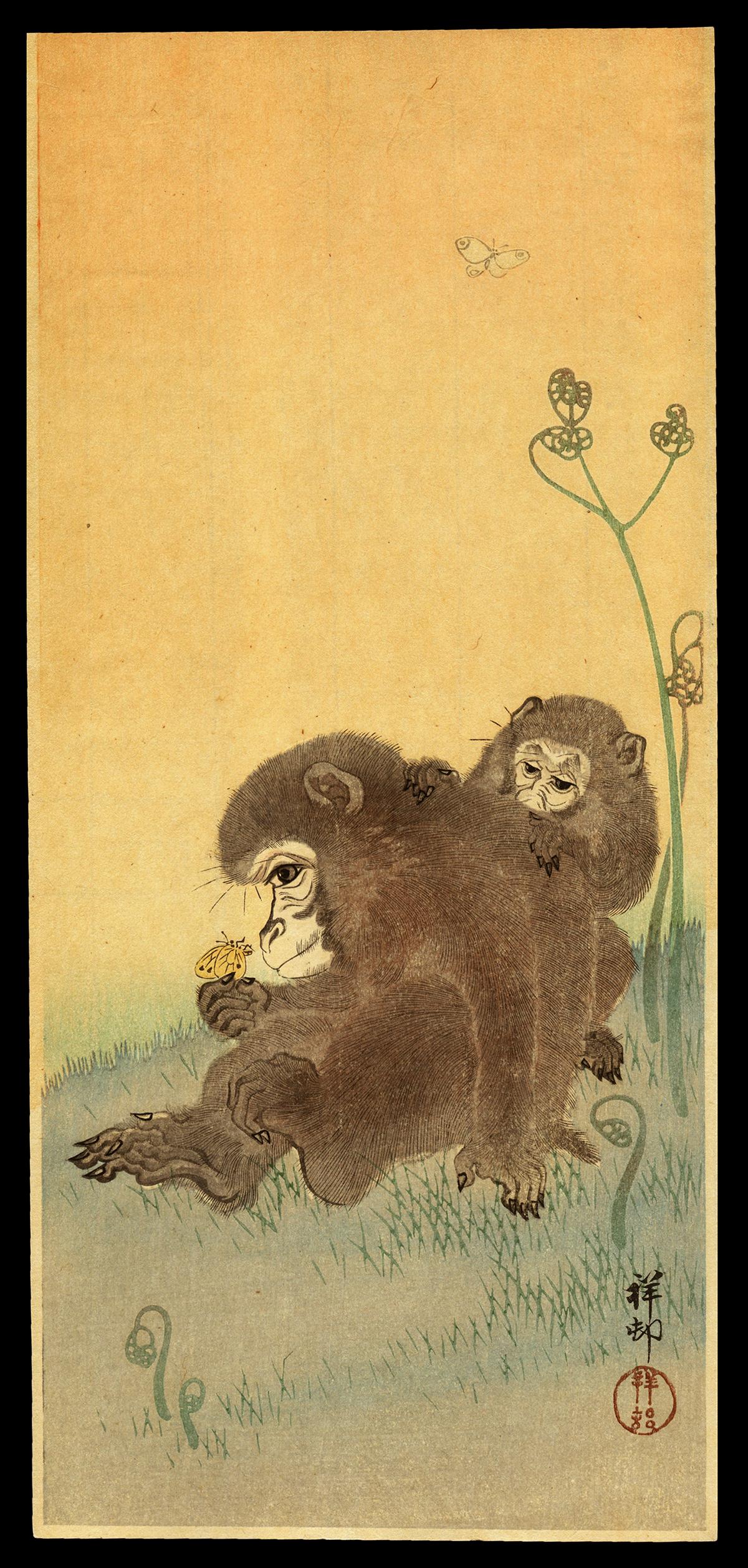 Ohara Shoson Woodblock - Two Monkeys, a Butterfly Above (1 of 2)