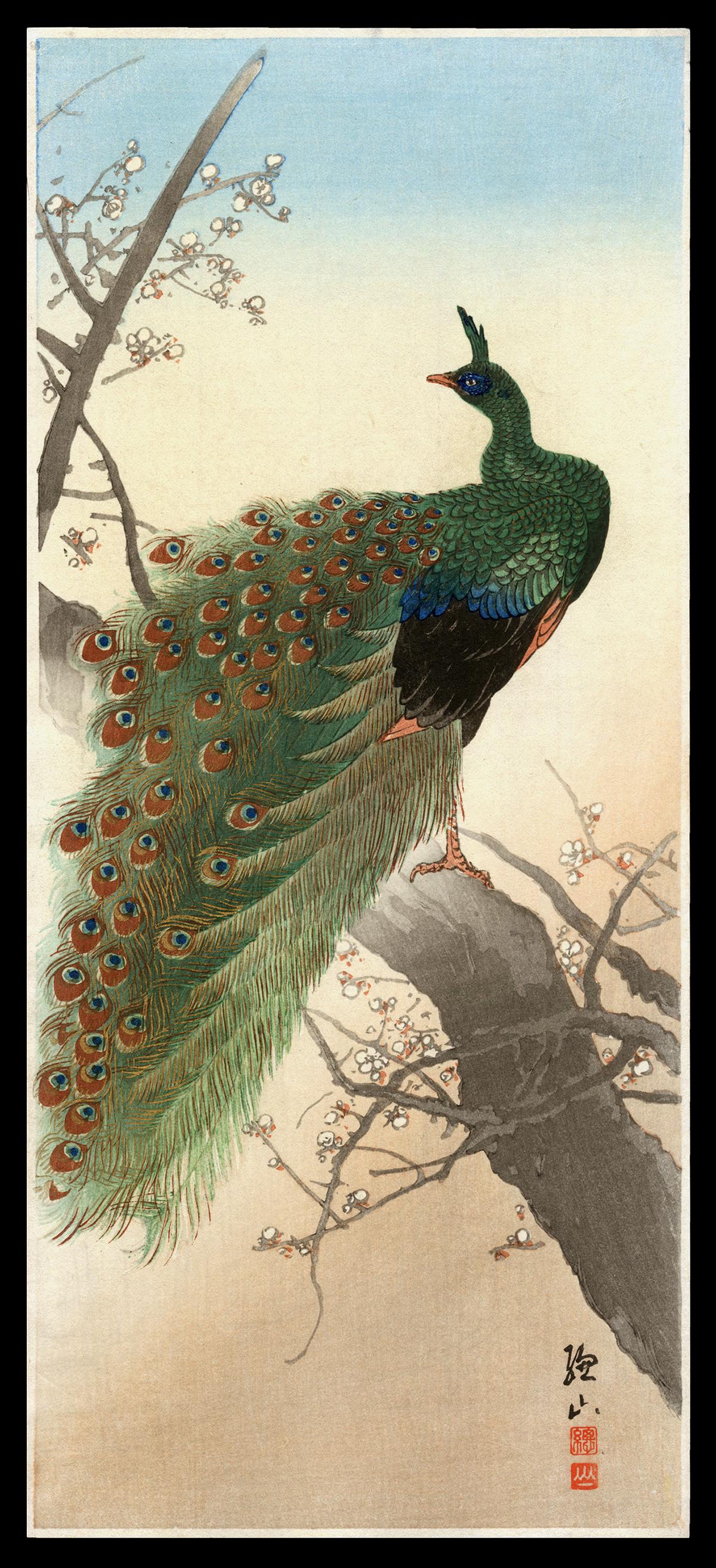 Ito Sozan Woodblock - Peacock (1 of 2)