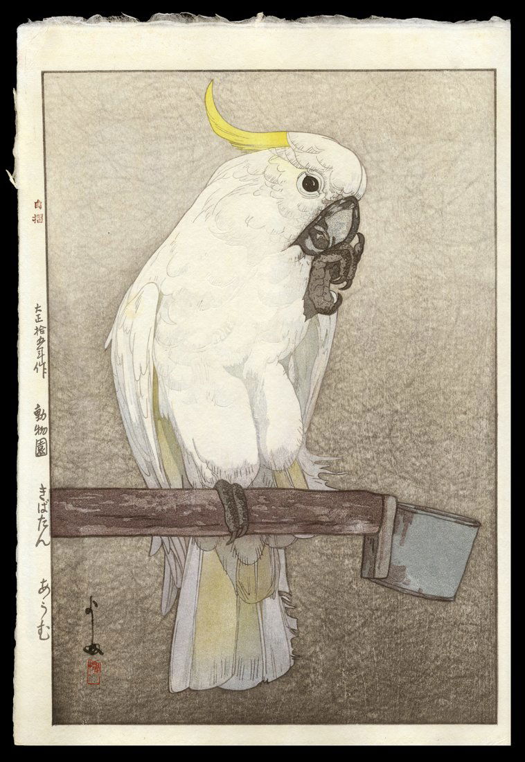 Hiroshi Yoshida Woodblock - Kibatan Parrot (1 of 2)