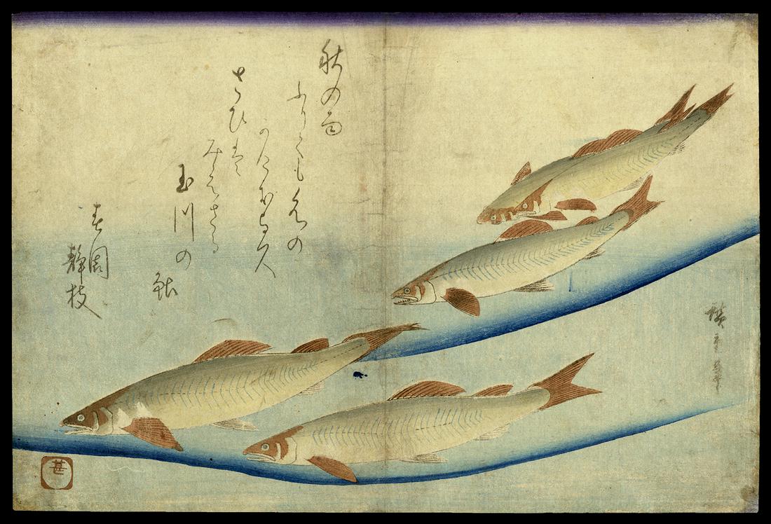 Ando Hiroshige Japanese Woodblock Print - Trout (1 of 2)