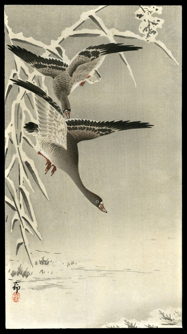 Ohara Koson Woodblock: Title: Geese in Snow Artist: Koson, Ohara, 1877-1945 Date: 20th century Medium: woodblock